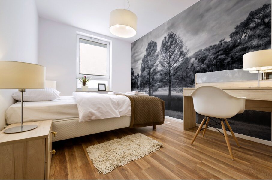 Mystical Twins: Unveiling the Beauty of Venetian Gardens in Leesburg Mural print