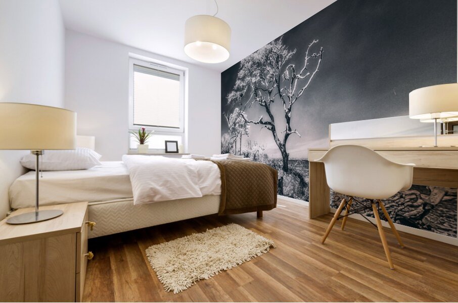 Black Bonsai:  A Botanical Marvel Unveiled on Driftwood Beach Mural print