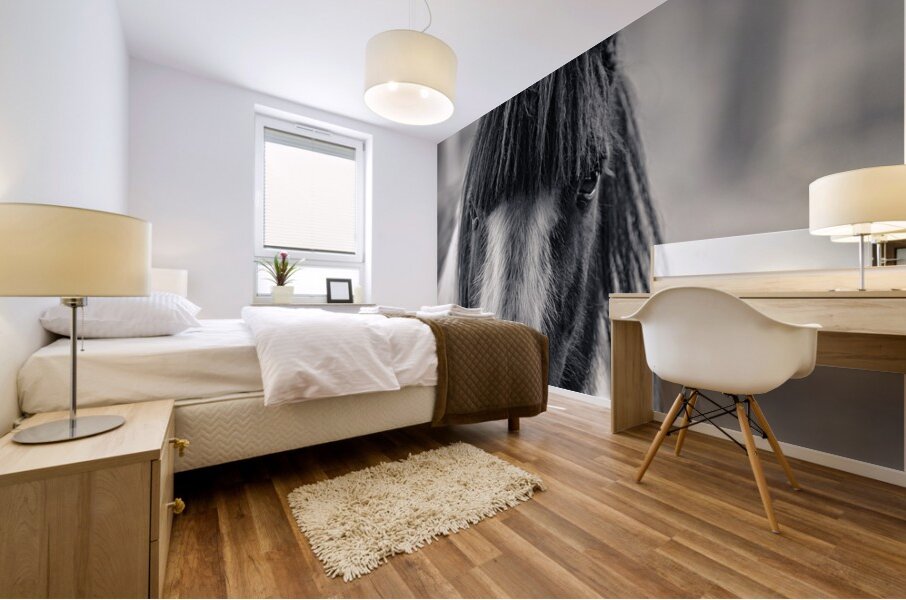 Curious Gaze: A Captivating Encounter with a Silent Horse  Mural print