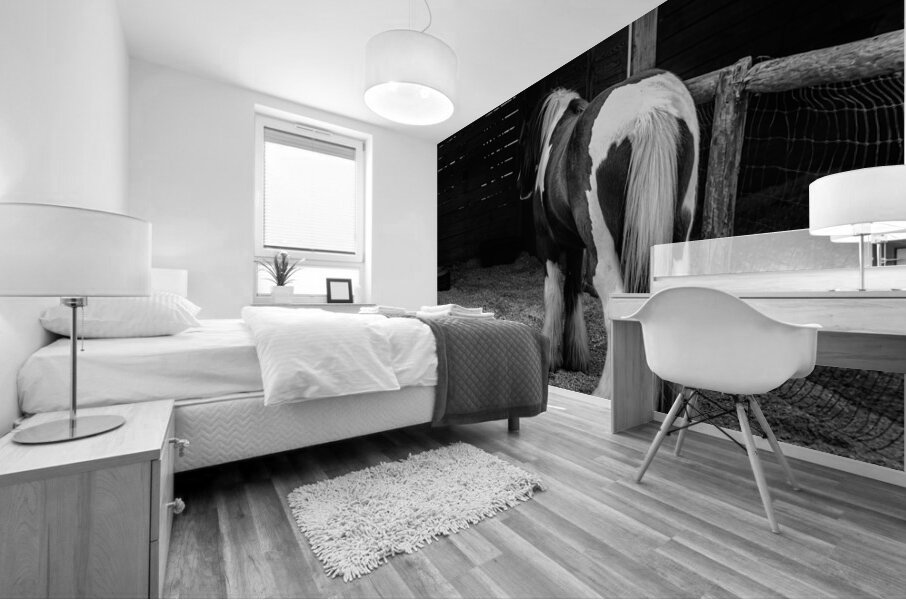 Mystique Unveiled: Capturing the Hidden Spirit of a Florida Horse Mural print