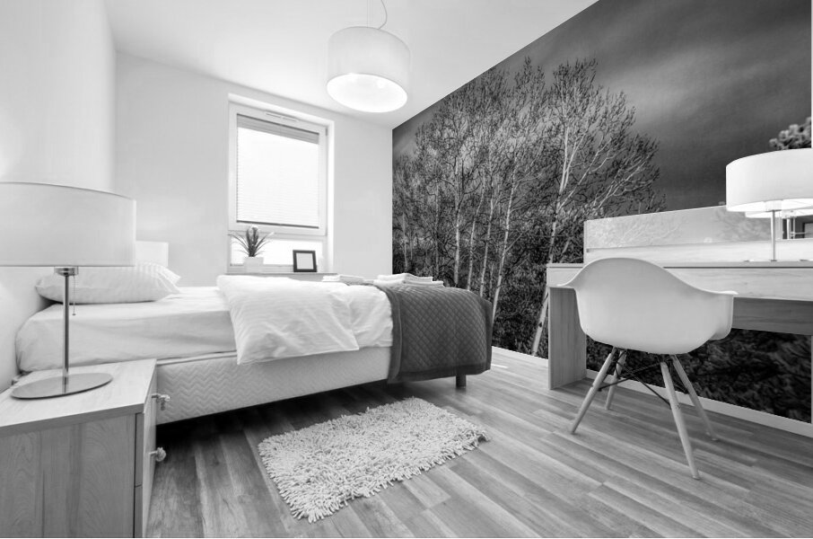 Mueller Aspen Series: Aspen Moon Mural print