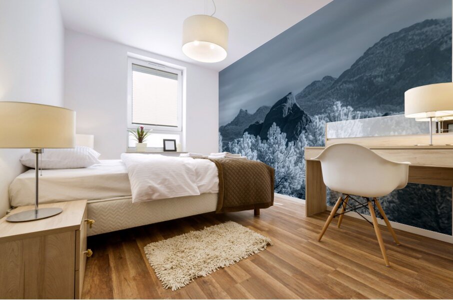 Vista Views: A Distant Gaze from Mount Rushmore Mural print