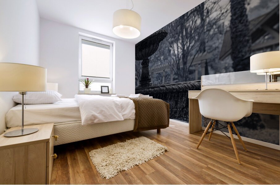 Rainy Day Wonders: Fountain Frozen in time in Saint Marys Georg Mural print