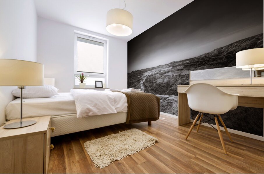 Shadows of the Earth: White River Serenity in the Badlands Mural print