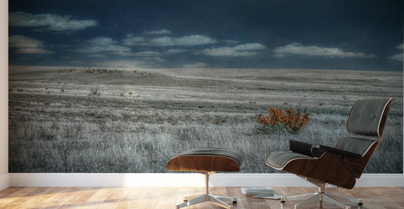 Solitary Flame Under Azure Canopy Wall Murals