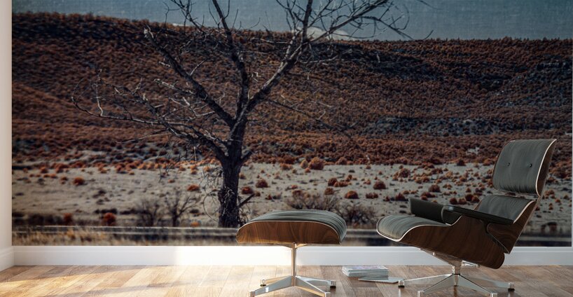 Stoic Silhouette in a Desolate Expanse Wall Murals