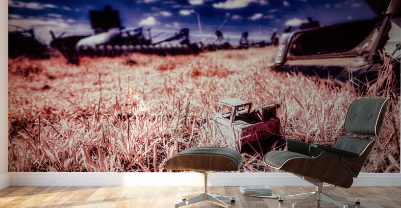 Rustic Relic - Kids Toy Remnant Wall Murals