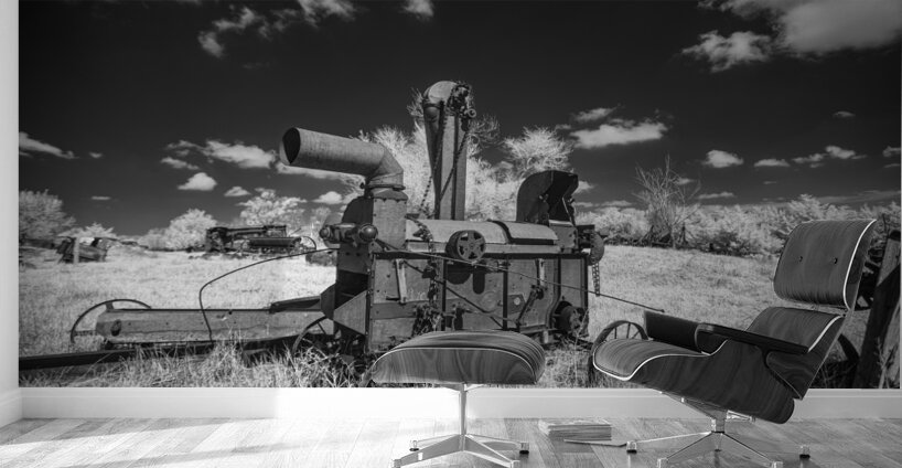 Rustic Relic - Arcaic Harvest Wall Murals