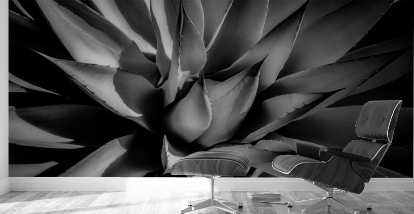 Silent Symphony of Leafy Angles Wall Murals