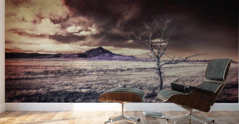 Otherworld in New Mexico Wall Murals