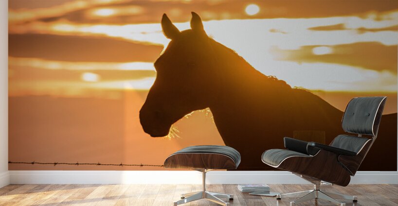 Sunset Silhouette: Portrait of Ernie Wall Murals