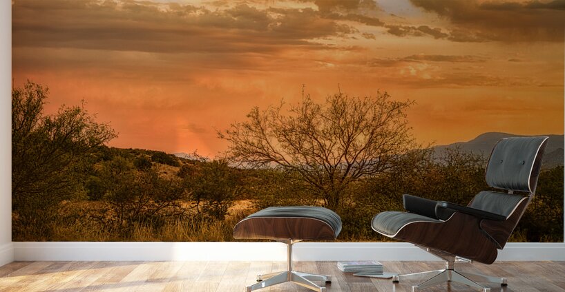 Eternal Calm of  Desert Hues Wall Murals
