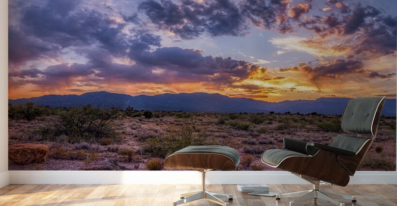 Sunset Tapestry Over Arid Plains Wall Murals