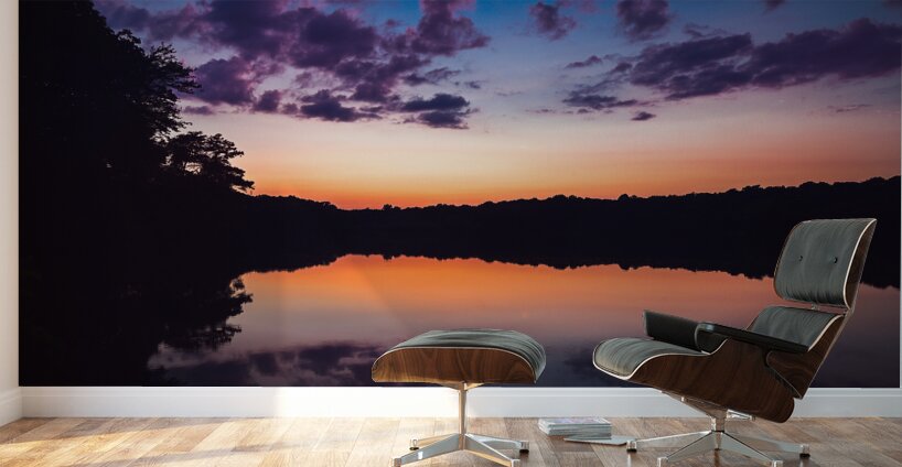 Mirror of Twilight Wall Murals