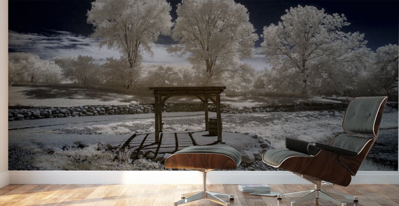 Well of Whispers Wall Murals