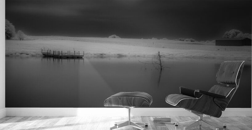 Quietude by the Lake Wall Murals