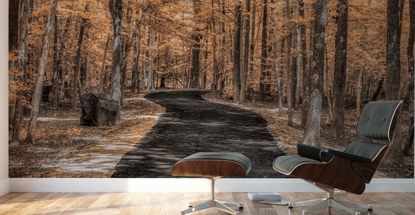 Golden Path Wall Murals