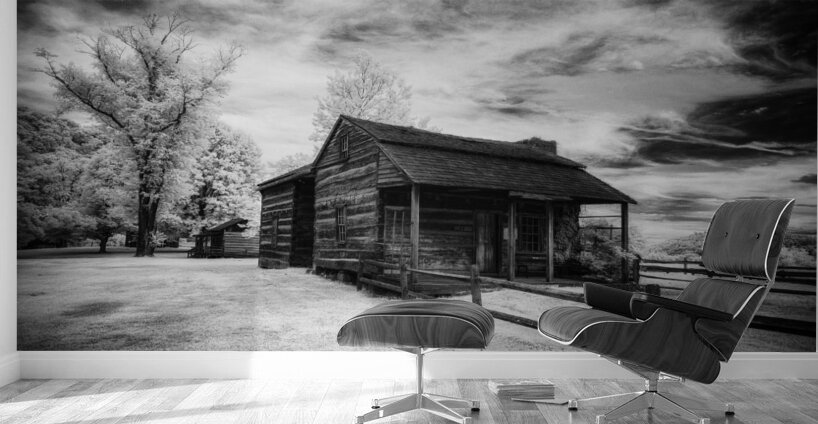 Stairway to History: Stonewalls Ascension Homestead Wall Murals