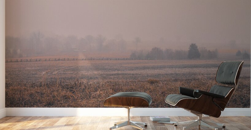 Hazel Field Wall Murals