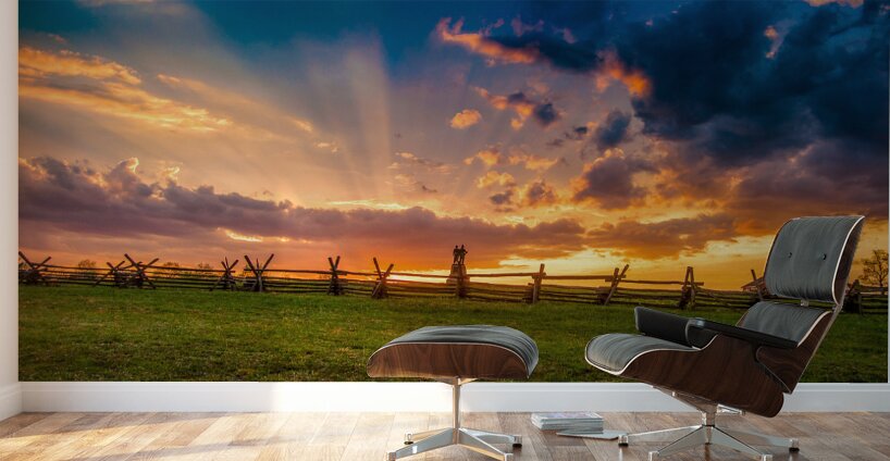 Guardians at Golden Hour Wall Murals