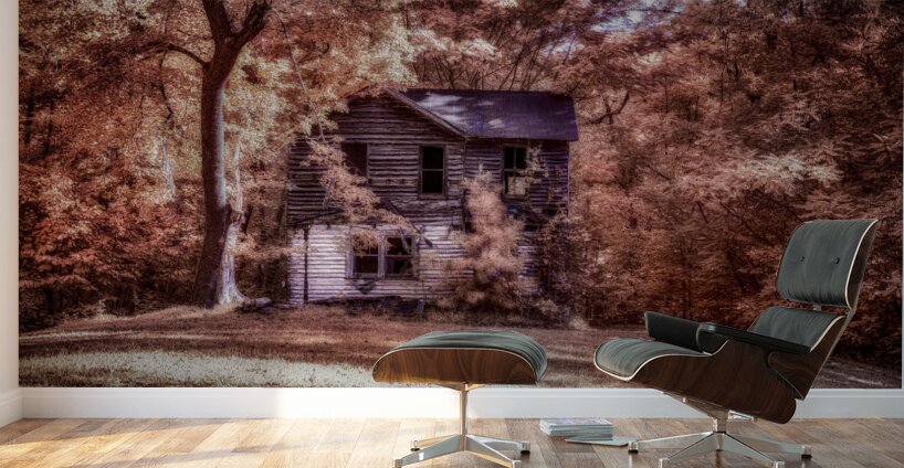 Forgotten Wall Murals