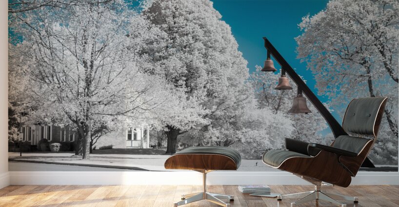Infrared Exploration: Unveiling the Beauty of Seminary Bells in  Wall Murals