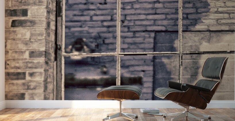 Shadows of Industry Wall Murals