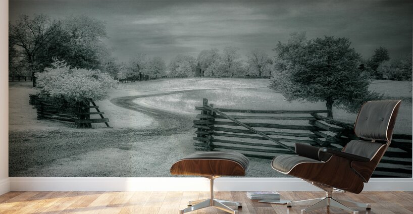 Surrenders Serenity Wall Murals