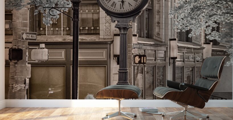 Timeless Elegance in York Wall Murals