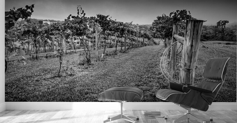 Extra wire Wall Murals