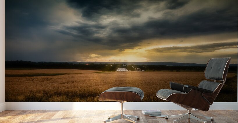 Farmland Sunset Wall Murals