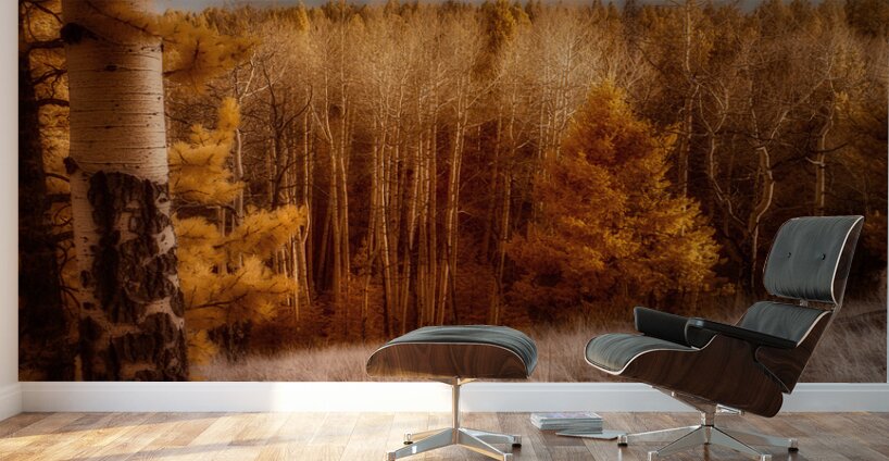 Mueller Aspen Series: Wall Murals