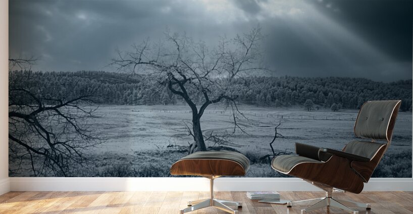 Solace in Solitude: A Blue Lighted Tree in Infrared Wall Murals