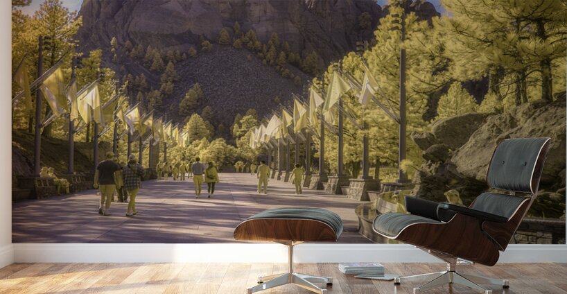 State Flags Row: Infrared Gaze at Mount Rushmore Wall Murals