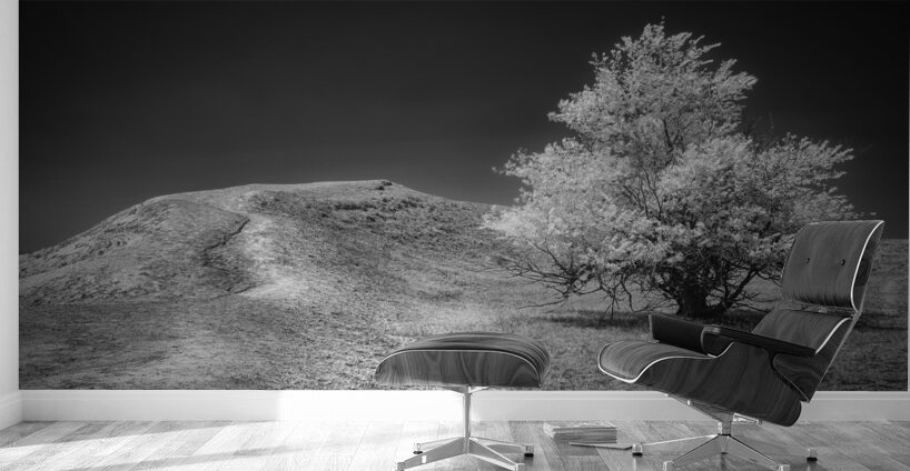 Silent Beauty: Navigating the Badlands with My Companions Wall Murals