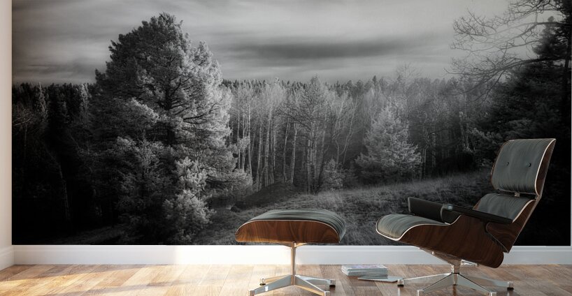 Mueller Aspen Series: Natures Finale Wall Murals