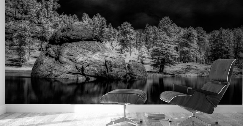 Enigmatic Elegance: Sylvan Lakes Monochrome Marvel Wall Murals