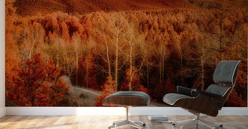 Mueller Aspen Series: Autumns Palette Wall Murals