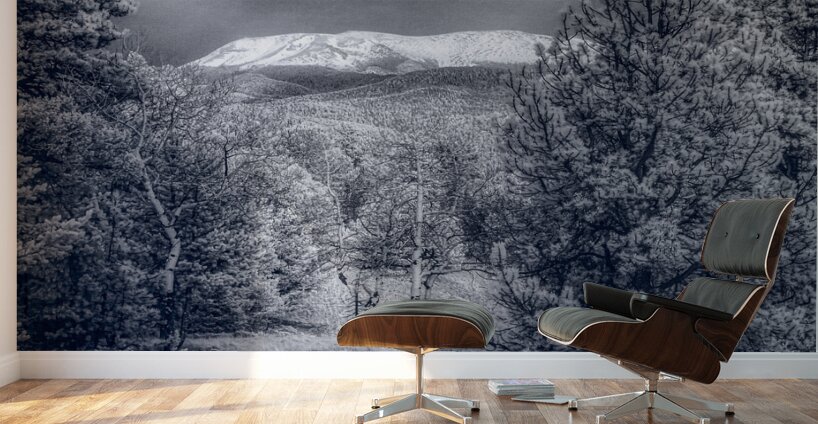 Mueller Aspen Series: Mountain Trail Tranquility Wall Murals