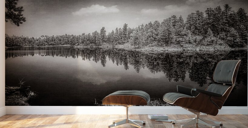 Mystical Waters: Infrared Dream at Bismarck Lake Wall Murals