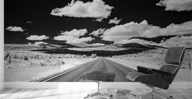 Rural Majesty Unveiled: Montanas Highway Horizon in Black and Wh Wall Murals