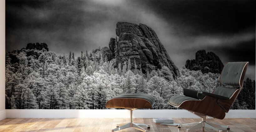 Sylvan Shadows: A Moody Encounter with Natures Drama in Custer  Wall Murals