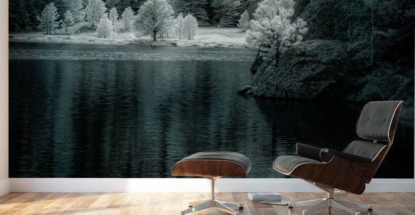 Enchanting Haze: Sylvan Lakes Smoky Pine Glow in Infrared Wall Murals