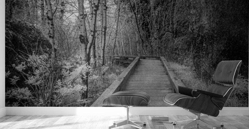 Mystical Journey: Sylvan Lake Wooden Trail in Infrared Wall Murals