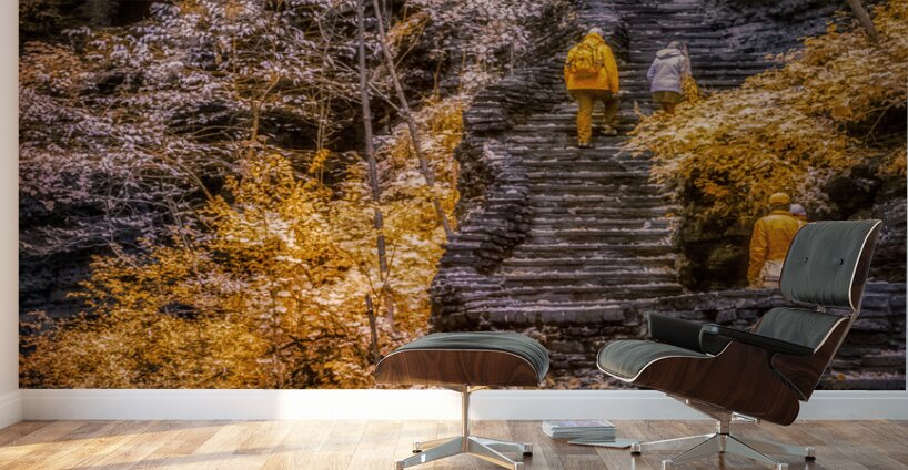 Golden Steps Ascent: A Color Infrared Symphony in Watkins Glen Wall Murals