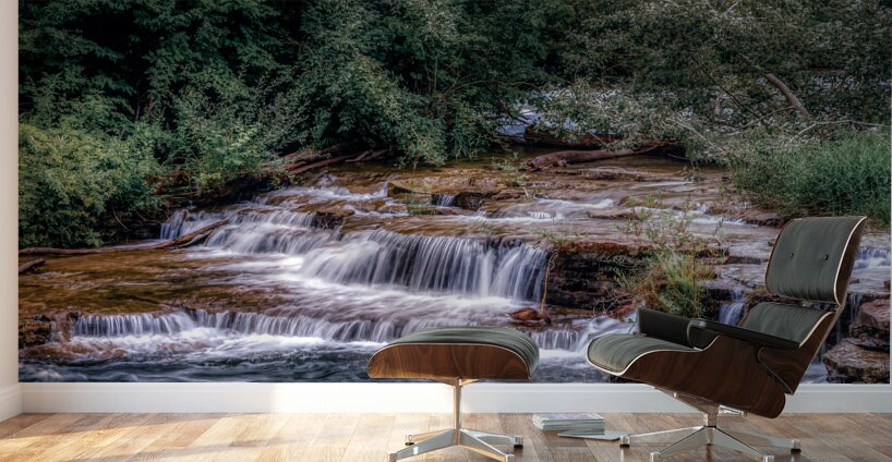 Tranquil Cascades: A Quaint Ducks Tale Upstream from Niagara Falls Wall Murals
