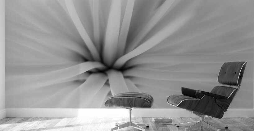 Radiance in Abstract Depth Wall Murals