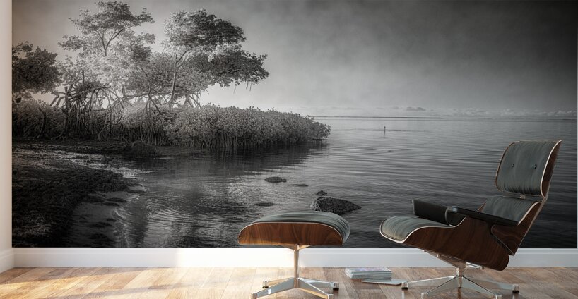 Tranquil Tides Wall Murals