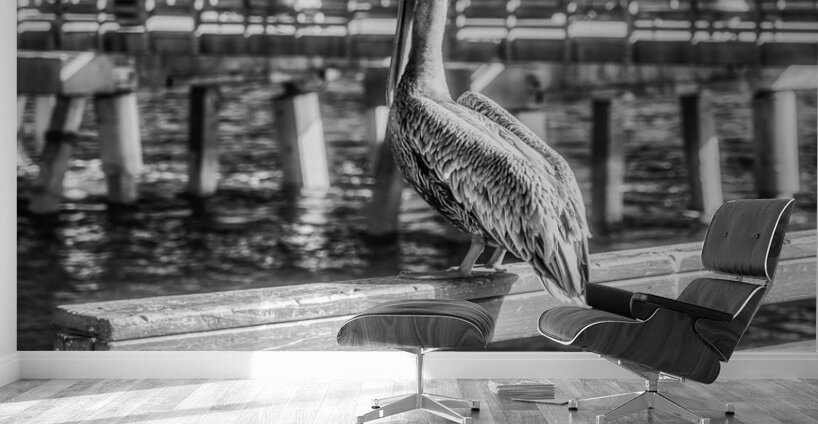 Oceans Guardian: Black and White Infrared Capture of Pelican on  Wall Murals