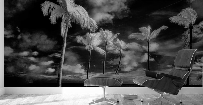 Tiki Picnic Wall Murals